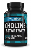 Choline Bitartrate – cholin bitartrát 100 tablet 