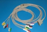EKG kabel KT-10/i-M/10-Raw do monitoru Schiller