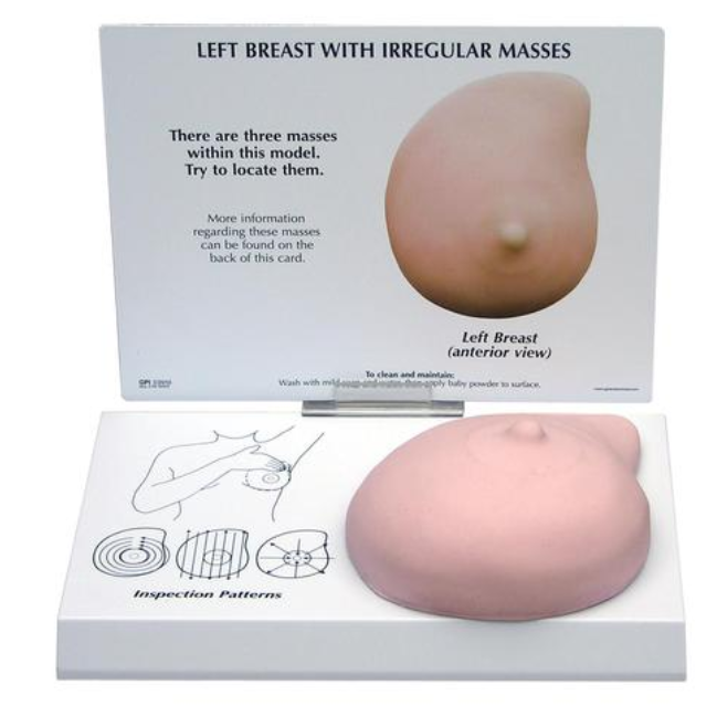 Model levého prsu s nepravidelnou hmotností
